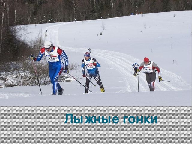 Зимние виды спорта (познавательное развитие)