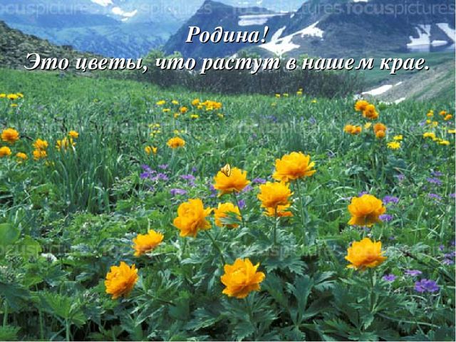 Презентация Россия -Родина моя!