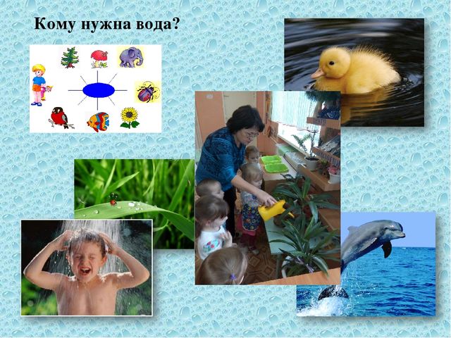 Презентация проекта "Здравствуй, водичка!"