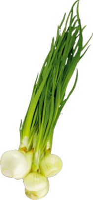 onion67.png