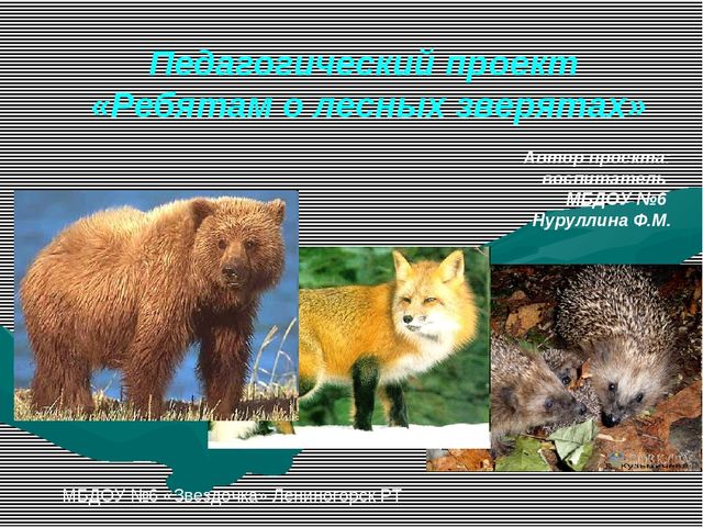 Презентация к проекту "Ребятам о лесных зверятах!"
