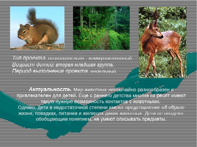 Презентация к проекту "Ребятам о лесных зверятах!"