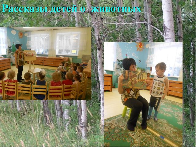 Презентация к проекту "Ребятам о лесных зверятах!"