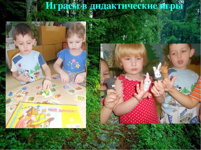 Презентация к проекту "Ребятам о лесных зверятах!"