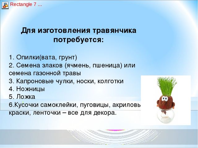 Презентация - Мастер- класс «Экологическая игрушка – травянчик»
