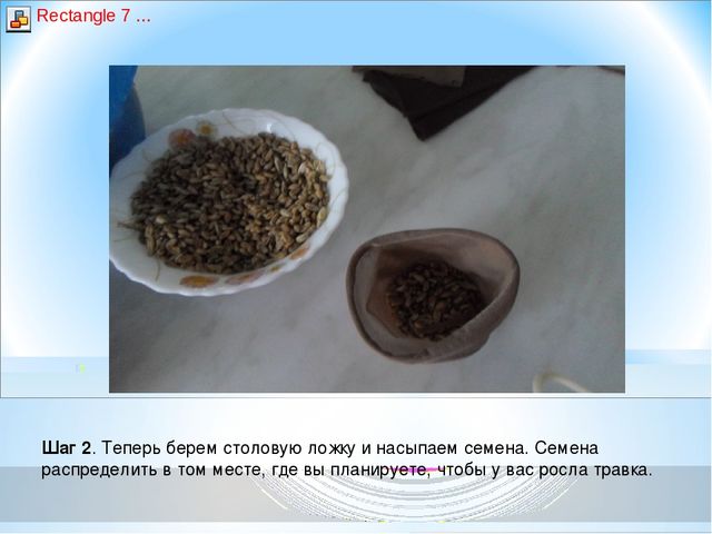 Презентация - Мастер- класс «Экологическая игрушка – травянчик»