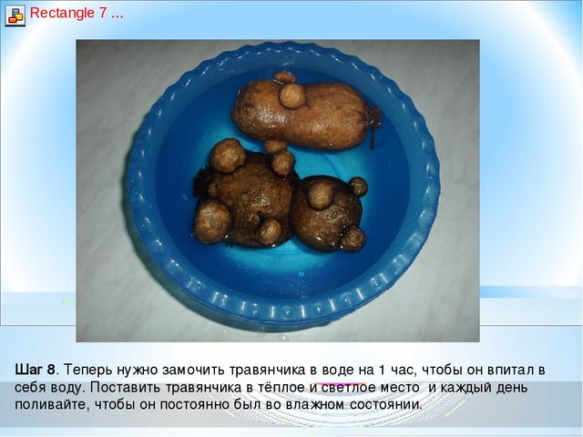 Презентация - Мастер- класс «Экологическая игрушка – травянчик»
