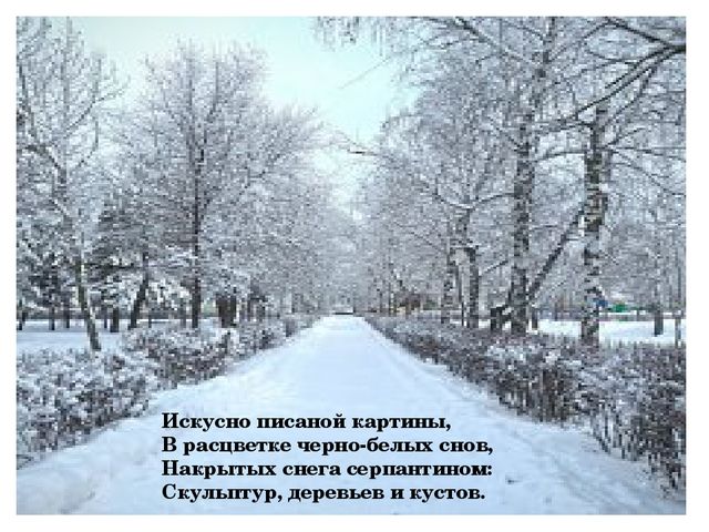 Презентация "Мой зимний город"