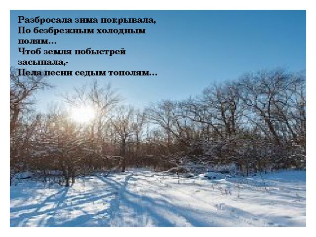 Презентация "Мой зимний город"