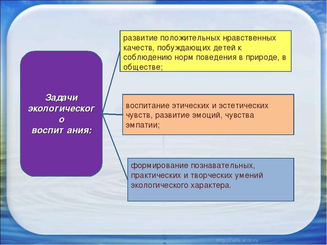 Презентация на тему "Постановка экологического воспитания в ДОУ"