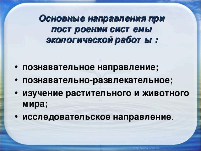 Презентация на тему "Постановка экологического воспитания в ДОУ"