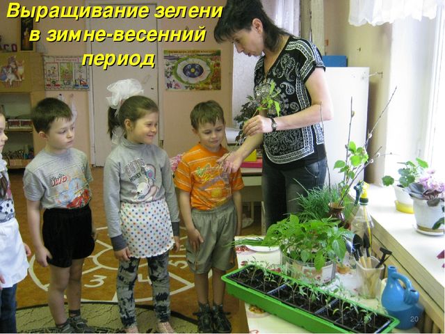 Презентация на тему "Постановка экологического воспитания в ДОУ"