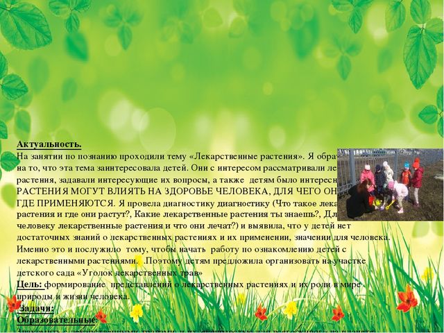 Презентация из опыта работы на тему: «Знакомство детей старшего дошкольного возраста с лекарственными растениями»