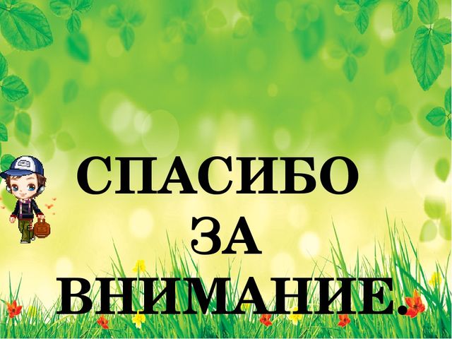 Презентация из опыта работы на тему: «Знакомство детей старшего дошкольного возраста с лекарственными растениями»