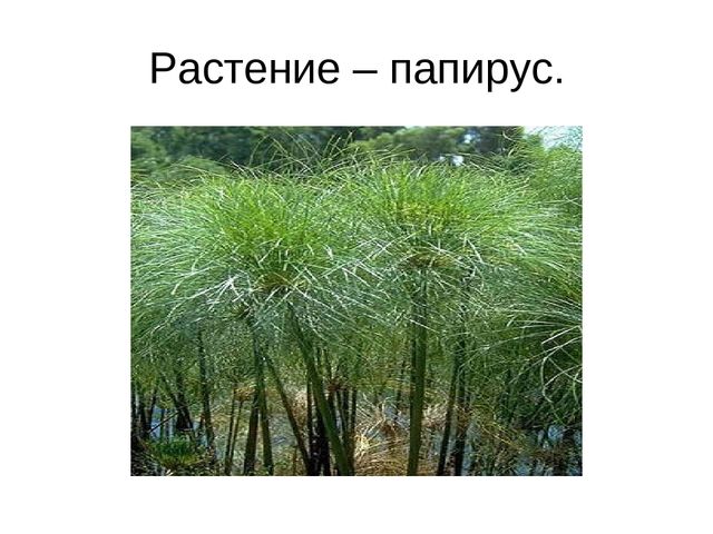 Презентация к занятию "Путешествие в бумажную страну "