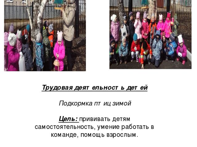 Презентация по теме самообразования:в подготовительной к школе группе: "Экологическое воспитание детей дошкольного возраста"
