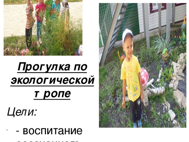 Презентация по теме самообразования:в подготовительной к школе группе: "Экологическое воспитание детей дошкольного возраста"