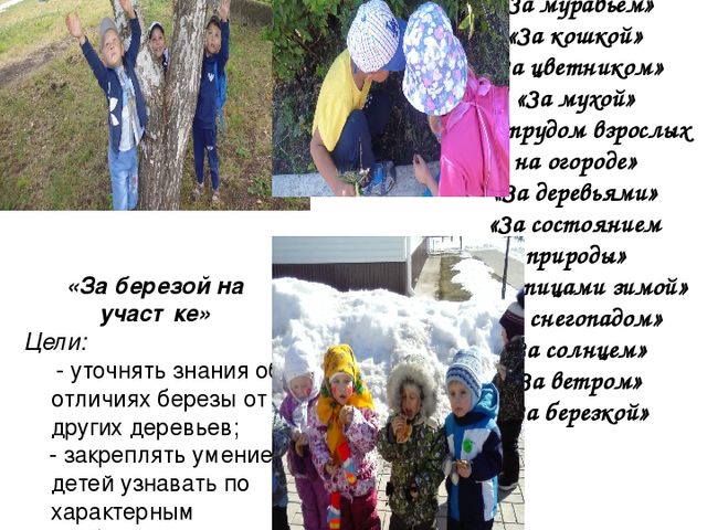 Презентация по теме самообразования:в подготовительной к школе группе: "Экологическое воспитание детей дошкольного возраста"