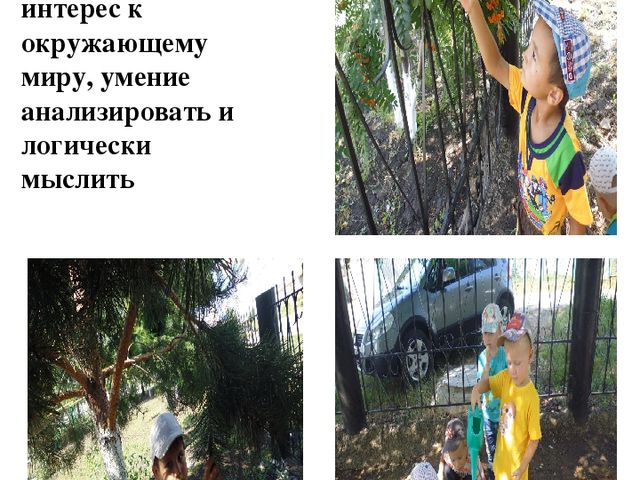 Презентация по теме самообразования:в подготовительной к школе группе: "Экологическое воспитание детей дошкольного возраста"
