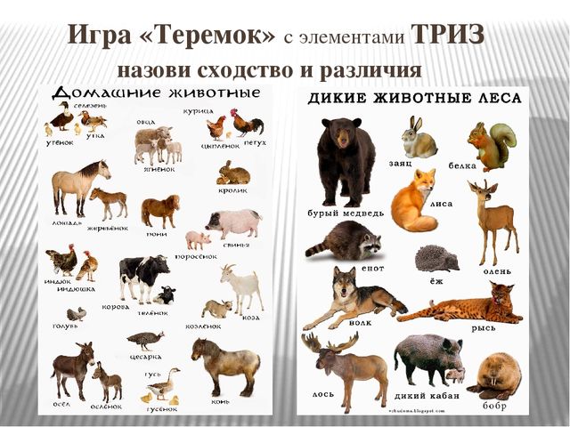 Презентация НОД "Развитие речи детей посредством художественной литературы с элементами технологии ТРИЗ"
