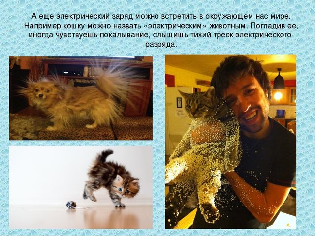 Презентация "Учимся беречь электричество"