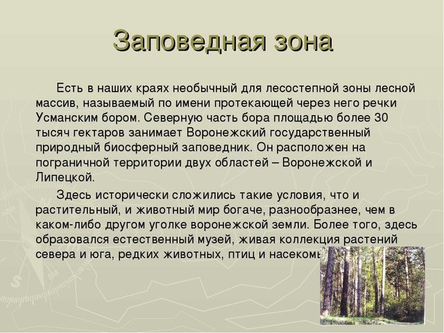 Презентация на тему "Воронежский заповедник"