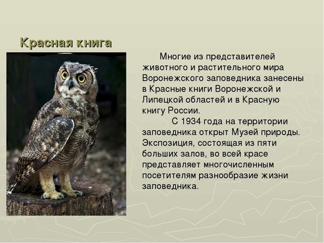 Презентация на тему "Воронежский заповедник"
