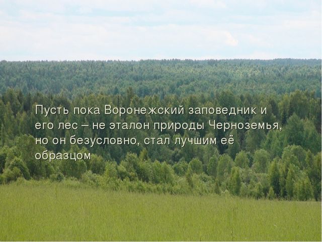 Презентация на тему "Воронежский заповедник"