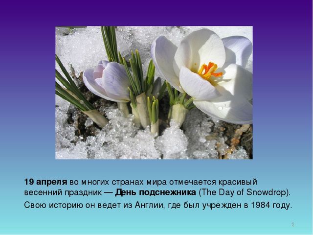 Презентация для дошкольников "День Подснежника"