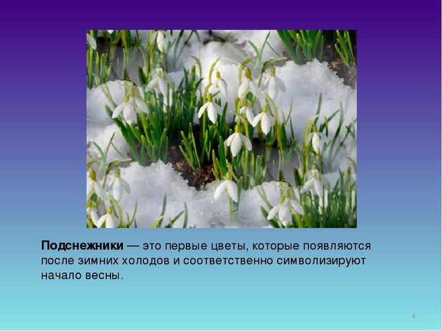 Презентация для дошкольников "День Подснежника"