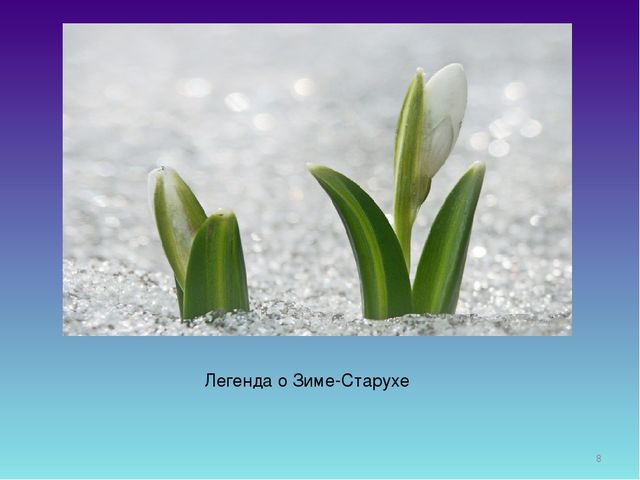 Презентация для дошкольников "День Подснежника"