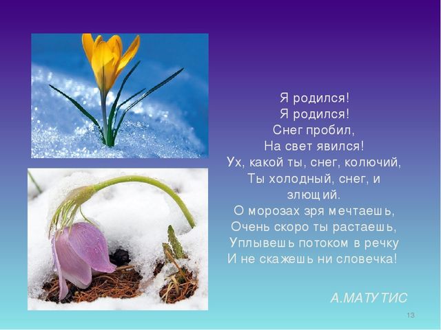 Презентация для дошкольников "День Подснежника"