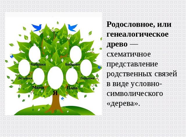 Презентация по развитию речи "Моя родословна".