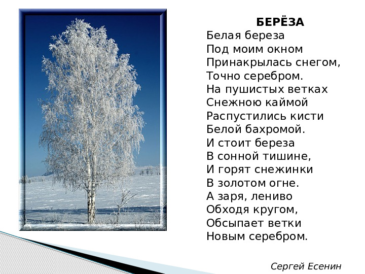 Презентация по развитию речи на тему "Белоснежная зима"