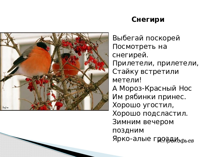 Презентация по развитию речи на тему "Белоснежная зима"