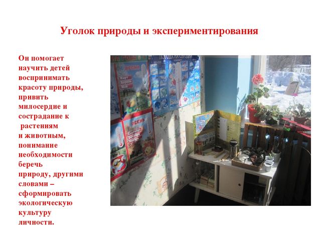 Презентация " Модель развивающей среды"