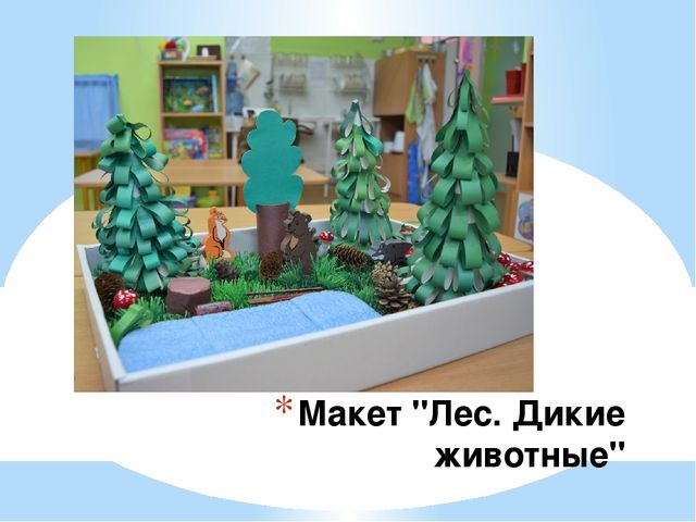 Макеты для детского сада своими руками на тему "В лесу. Дикие животные"