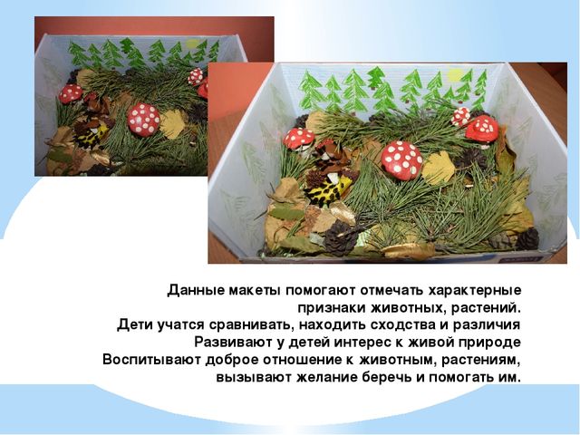 Макеты для детского сада своими руками на тему "В лесу. Дикие животные"