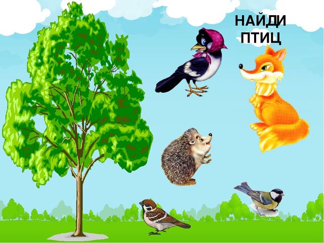 Интерактивная игра "Найди птиц" для младших дошкольников
