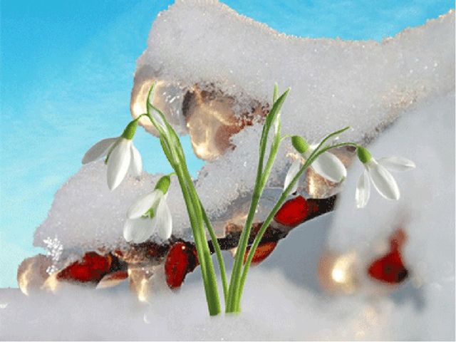 Презентация,Земля -наш общий дом