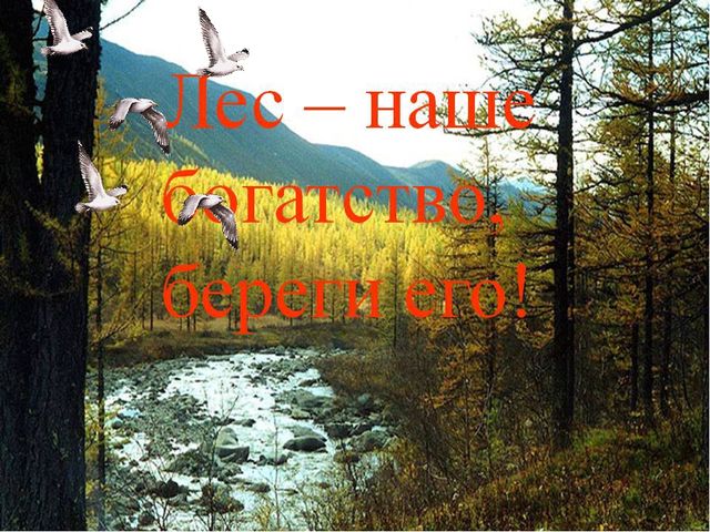Презентация,Земля -наш общий дом