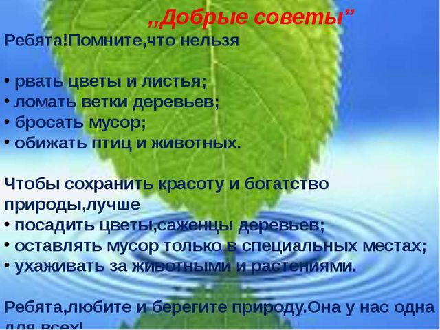 Презентация,Земля -наш общий дом