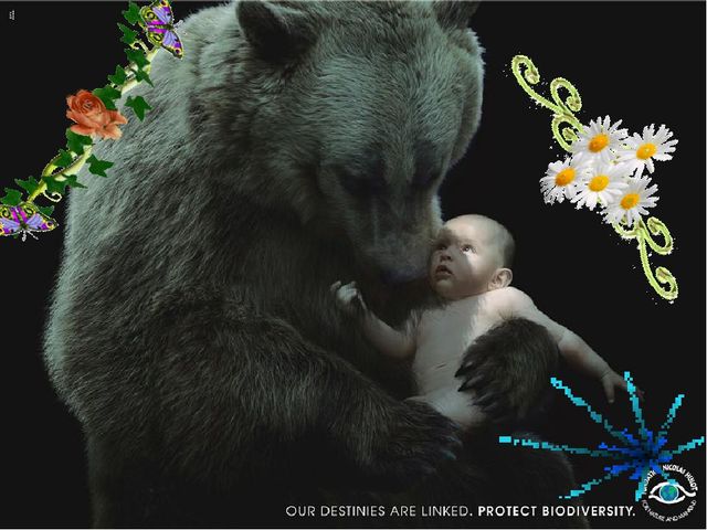 Презентация,Земля -наш общий дом