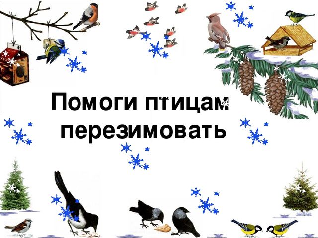 Презентация "Помоги птицам перезимовать".