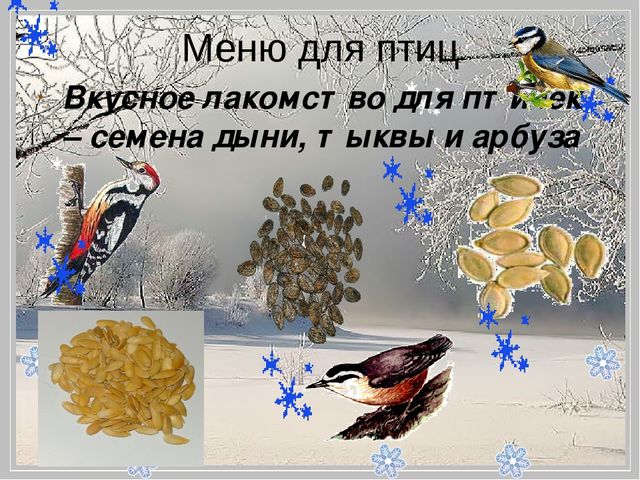 Презентация "Помоги птицам перезимовать".
