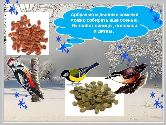 Презентация "Помоги птицам перезимовать".