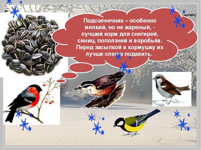 Презентация "Помоги птицам перезимовать".