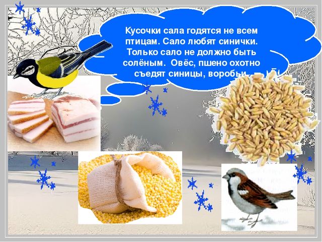 Презентация "Помоги птицам перезимовать".