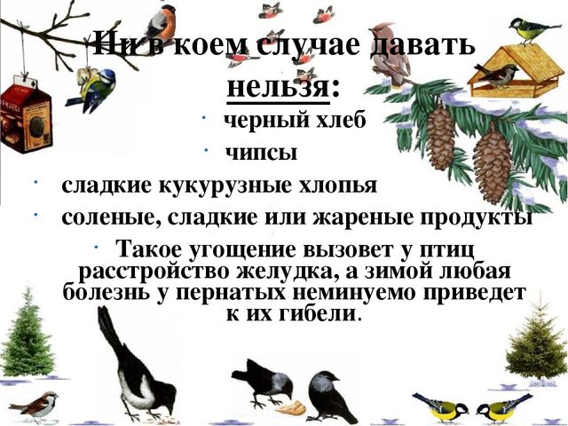 Презентация "Помоги птицам перезимовать".