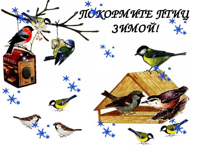 Презентация "Помоги птицам перезимовать".